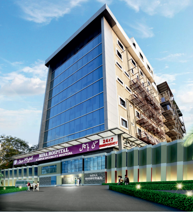Mina H Building